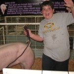 Click Here to See Gallery IMG_6912