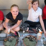 Click Here to See Gallery IMG_7889